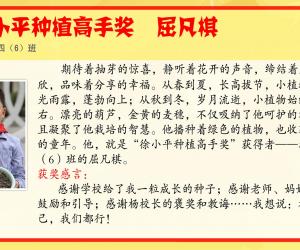 2013-塰Сƽֲֽ